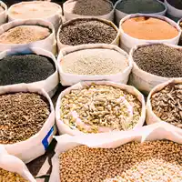 Agriculture & Grain Mandis